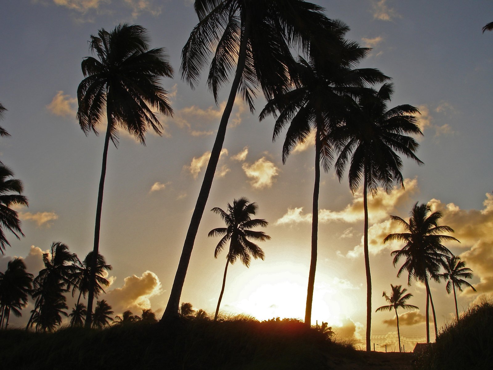 Pôr do sol em Porto de Galinhas